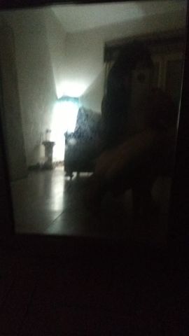 Anni CBA