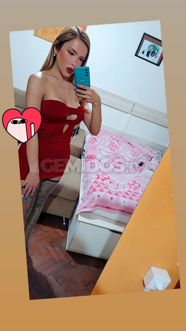 Dani Trans