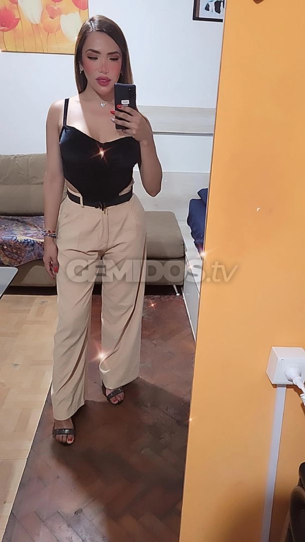 Dani Trans